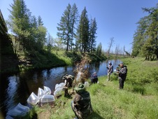 Releasing peled into the Aanniaakh River of the Vilyuiskoye Reservoir
