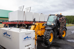 Loading containers with muksun at the Sobsk Fish Hatchery (YNAO)