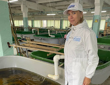 Natalya Tyurina, Leading Specialist of the Environmental Protection Department, oversees the release of salmon in Karelia