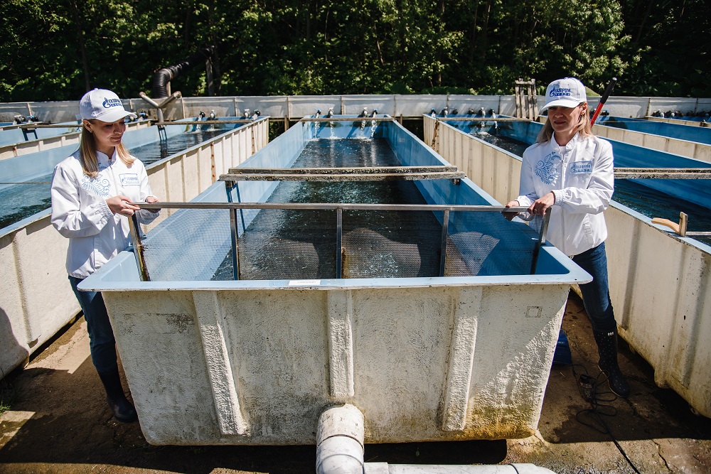 9 million high-end fish breeding juveniles were released by the company in 2022 across different regions