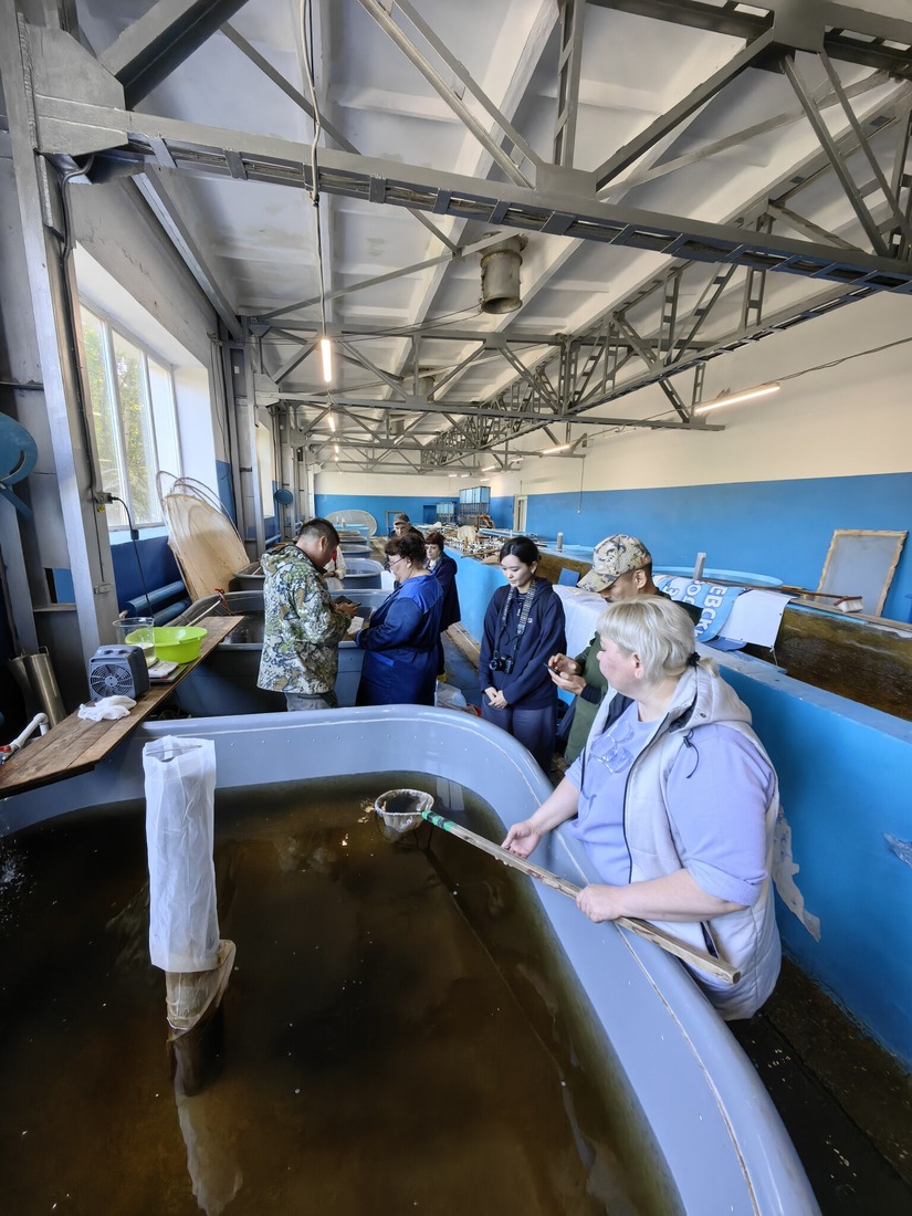 A Workshop at the Chernyshevsky Fish Hatchery