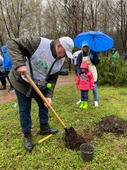 Company activists planted barberry seedlings