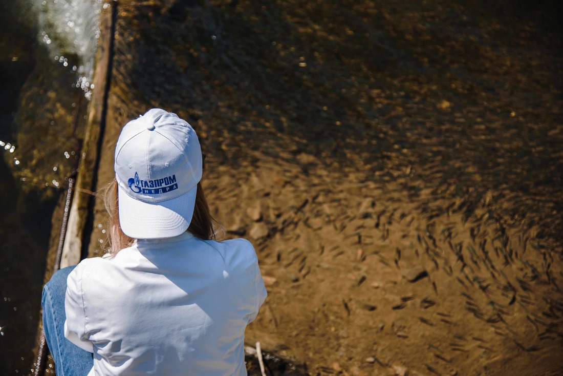 Chum salmon, muksun, sturgeon and peled will join the company’s production reservoirs in 2022