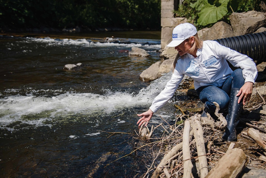 The juvenile fish will get stronger in the Krasnoyarka River and go to the Sea of Okhotsk