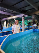 The Company’s ecologist Aleksandra Krasnenko monitoring the release of juveniles.